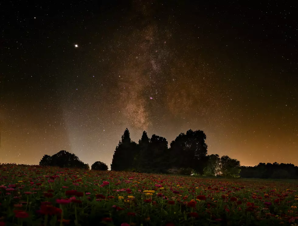 Must See: Astrophotography Captures Breathtaking Images at Southern Illinois Zinnia Field