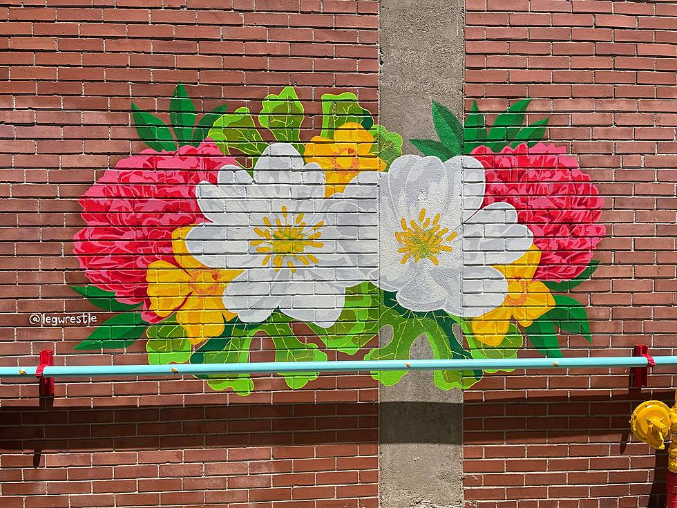 Signature School Grad Creates Amazing Mural in Downtown Evansville