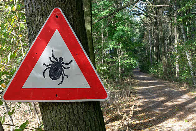 This Crafty Hack Could Help Keep Ticks Off Next Time You Go Hiking
