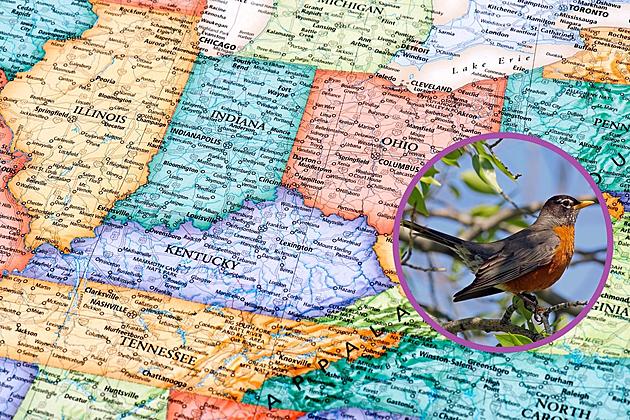 More States Reporting Sick &#038; Dying Birds Including Indiana &#038; Kentucky