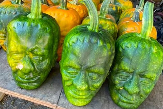 TikTok Video Shows How to Grow Frankenstein Pumpkins for Halloween