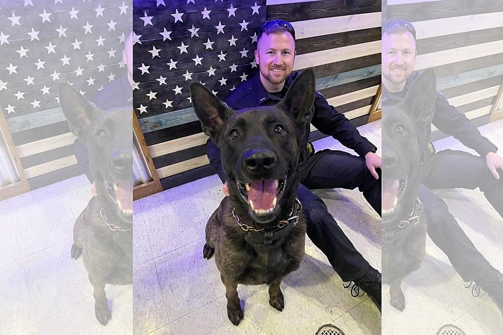 Evansville Police Department Competing for K-9 Grant