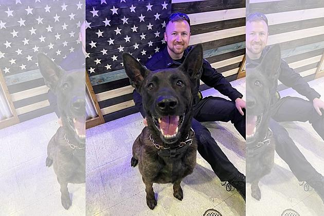 Evansville Indiana Police Department Competing for 2021 Aftermath K9 Grant