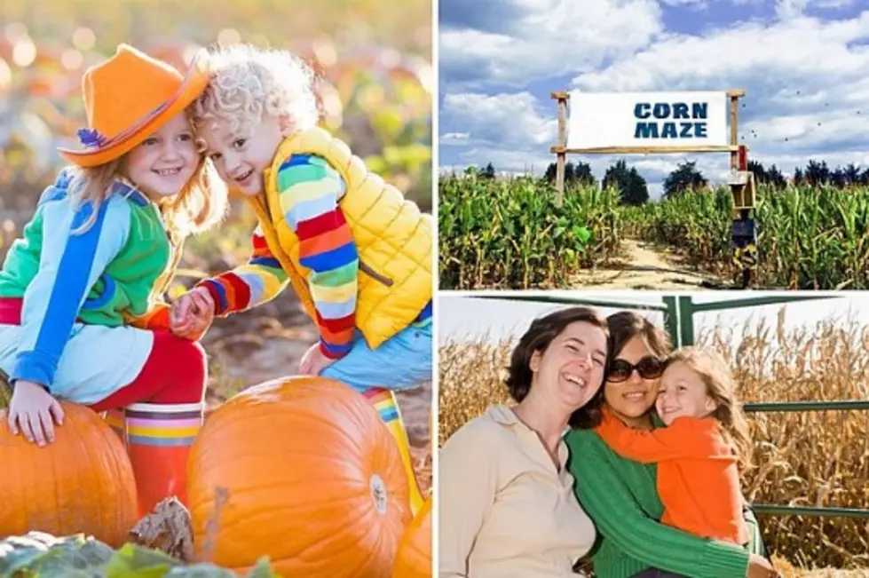 30 Best Pumpkin Patches & Farms to Find Fall Fun Around IN, IL and KY