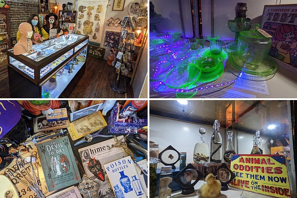 Henderson KY Oddities Shop – New Location But Same Level of Strange & Unusual