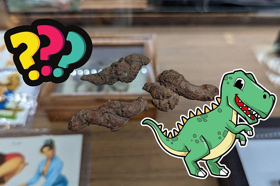 Henderson Oddities Shop Sells Fossilized Dinosaur Dooky