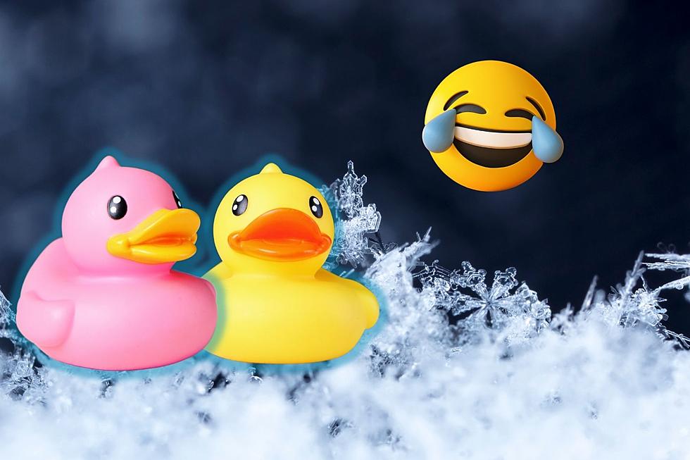 Forget Snowballs - Learn to Make Your Own Snow Ducks