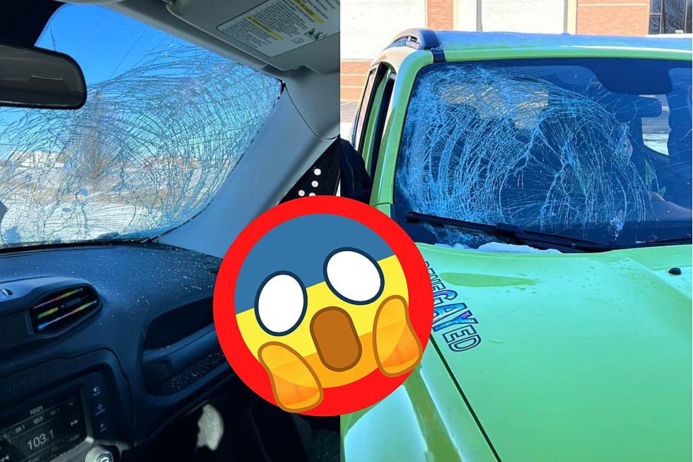 Indiana Woman Reminds You to Remove the Ice from Your Vehicles Before You Hit the Road [PHOTOS]