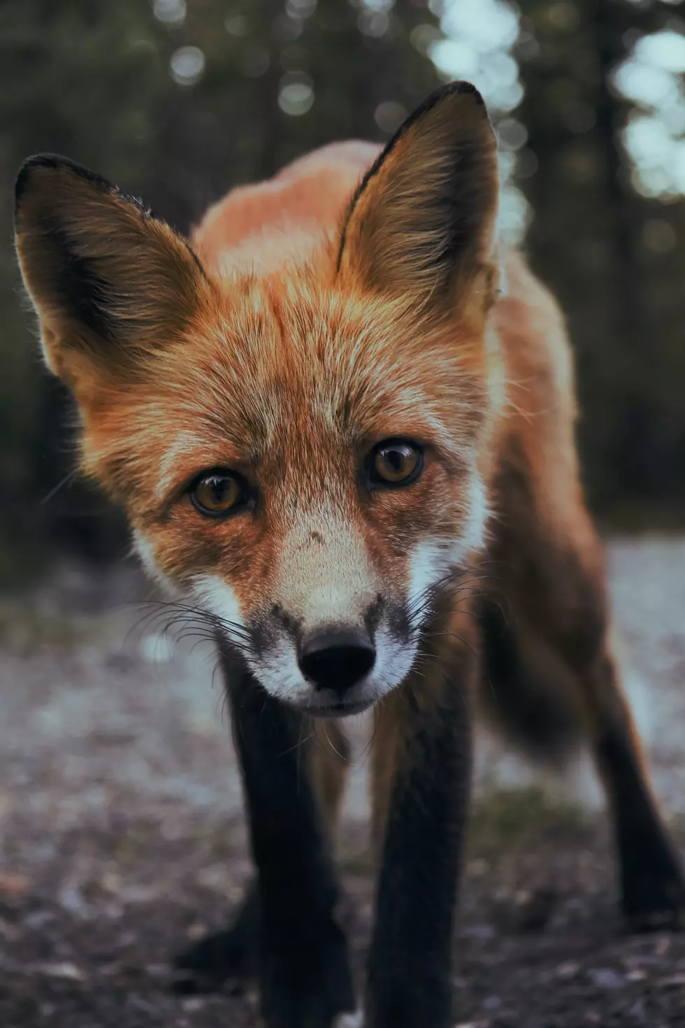 attachment-sunguk-kim-tIfrzHxhPYQ-unsplash