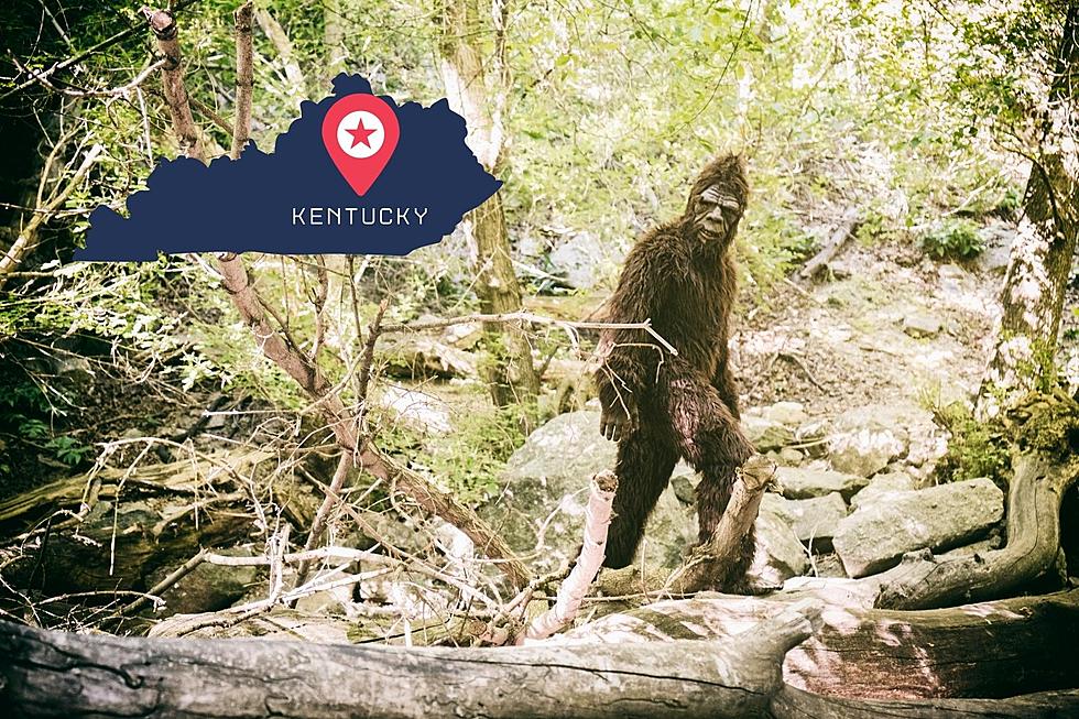 The Kentucky Bigfoot Research Organization Works Hard to Find Bigfoot