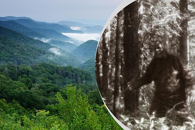 Tennessee is Home to the Smoky Mountain Bigfoot Conference