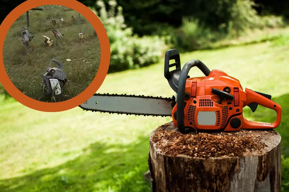 Indiana Chainsaw Garden is an Eerie Roadside View