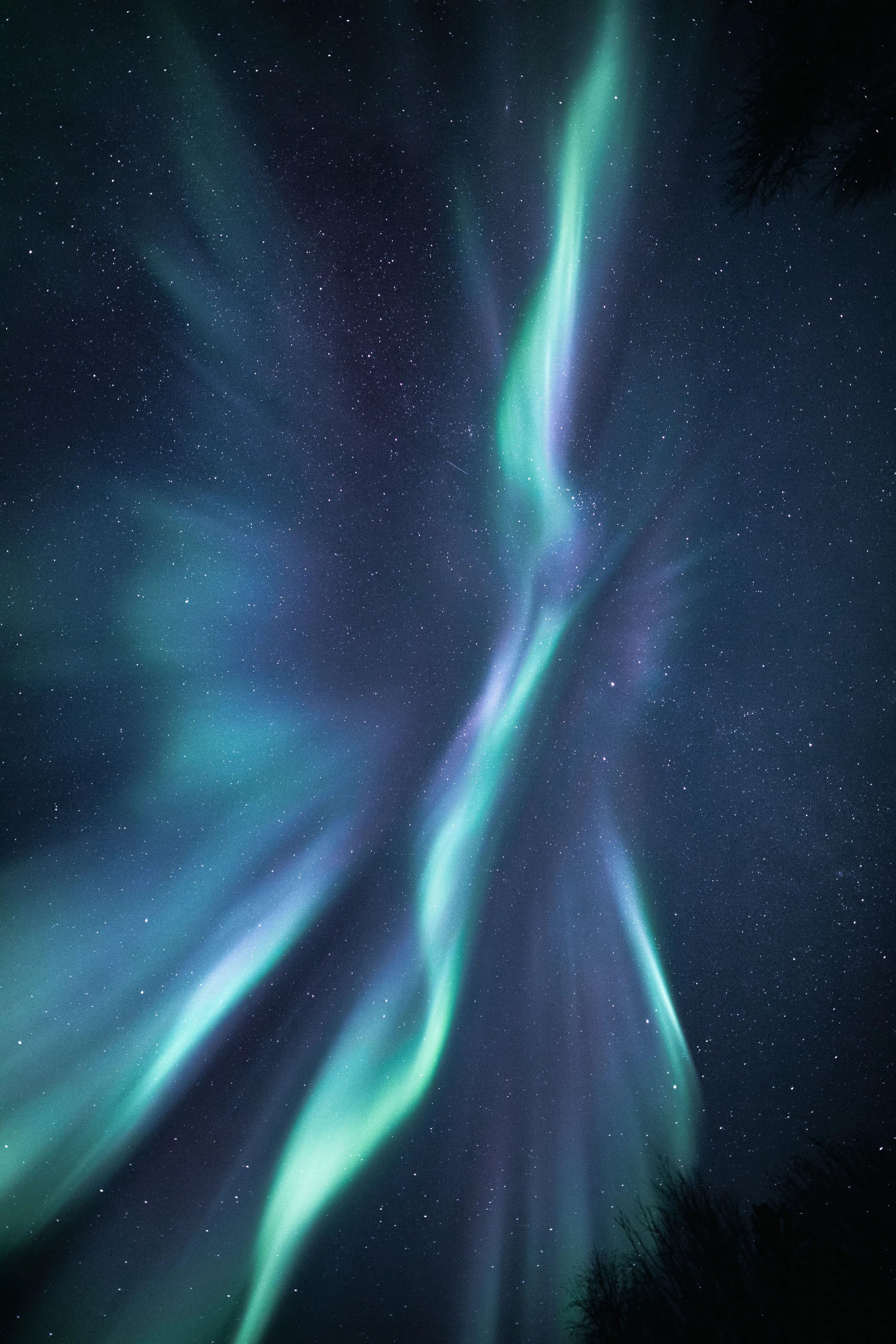 attachment-maria-vojtovicova-7cfAzY0mj9w-unsplash