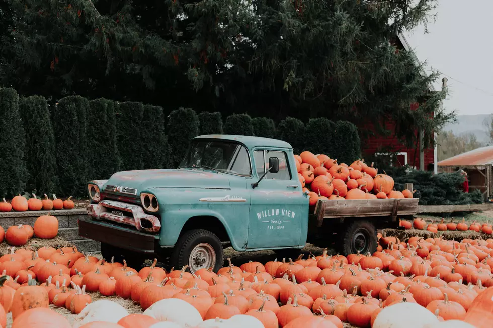 Ultimate Pumpkin Patch & Fall Farm Guide for Illinois, Indiana & Kentucky