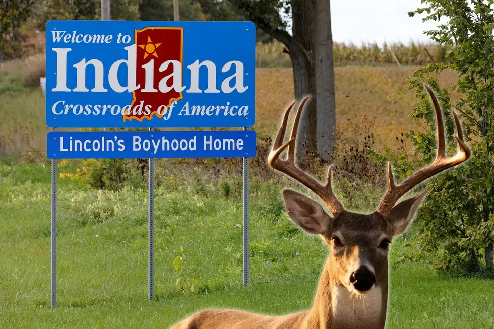 Donate Deer During Indiana Deer Season to Help Feed Those in Need