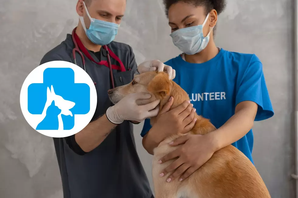 Vaccinate Your Pets for Less with Low Cost Clinic Coming to Southern Indiana