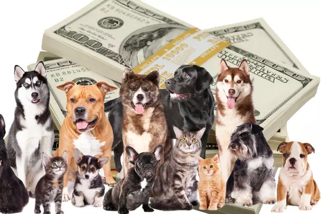 Southern Indiana Animal Rescue Raffling Off Big Cash Prize