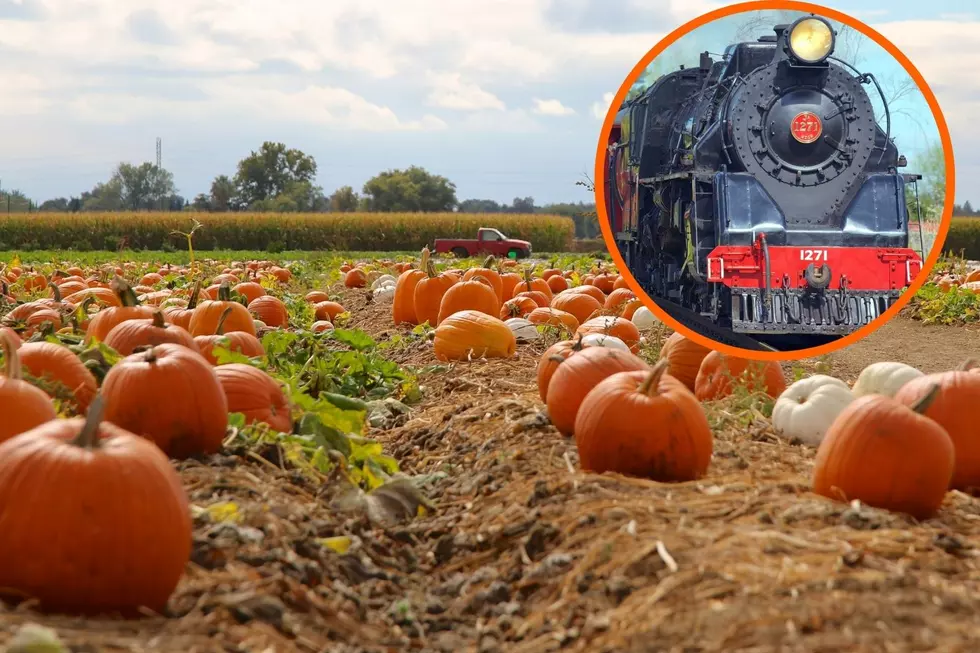 Indiana Train Takes You to a Pumpkin Patch So You Can Pick Out the Perfect Pumpkin