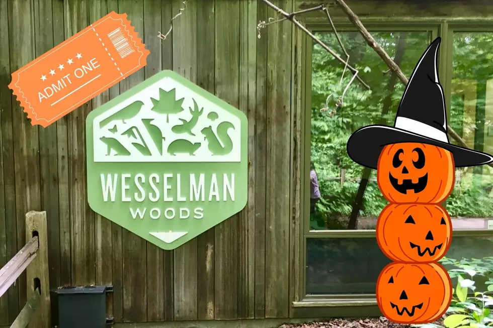Avoiding Cavities?  You Can Support Wesselman Woods This Halloween and Give Out Passes Instead