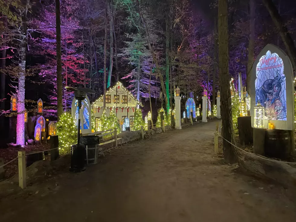Walk Through Kentucky Woods Glowing With Millions of Lights
