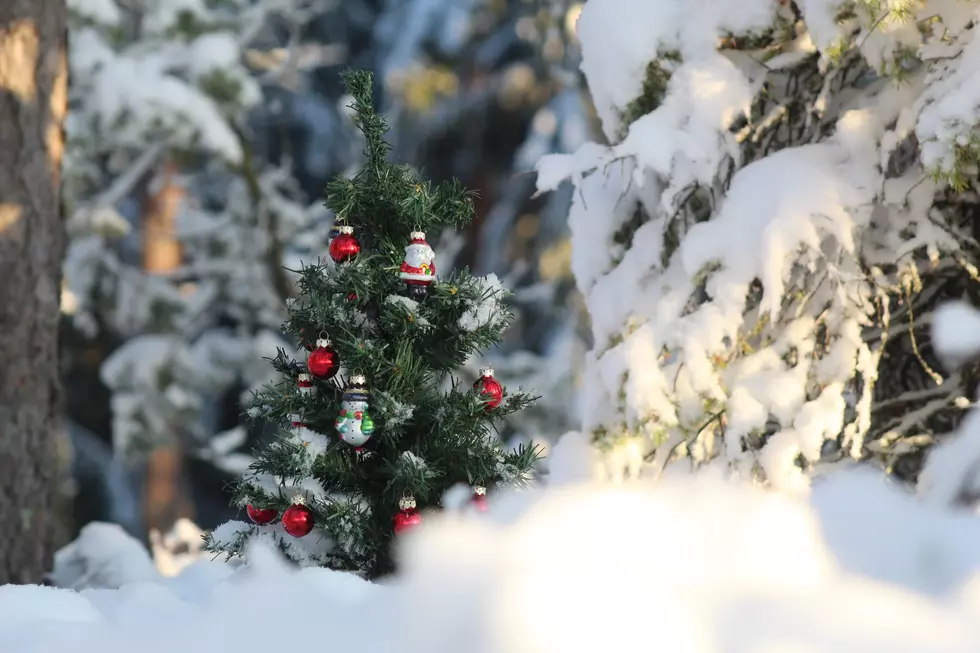 Dreaming of a White Christmas Will Indiana See Snow on Christmas?