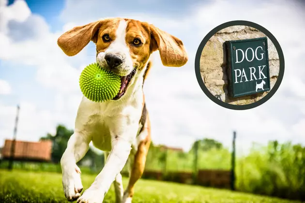 Indiana&#8217;s Woodmere Dog Park Closer to Becoming a Reality