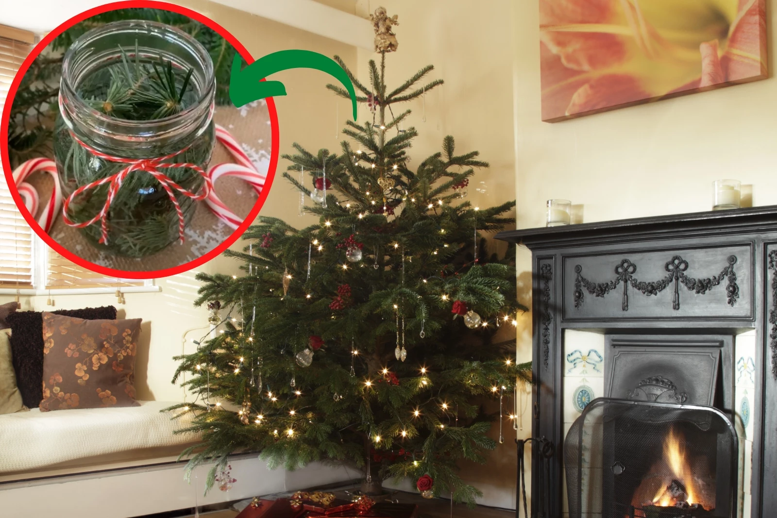 Man shares hack which uses Christmas tree branches to make cleaning  products - Daily Record