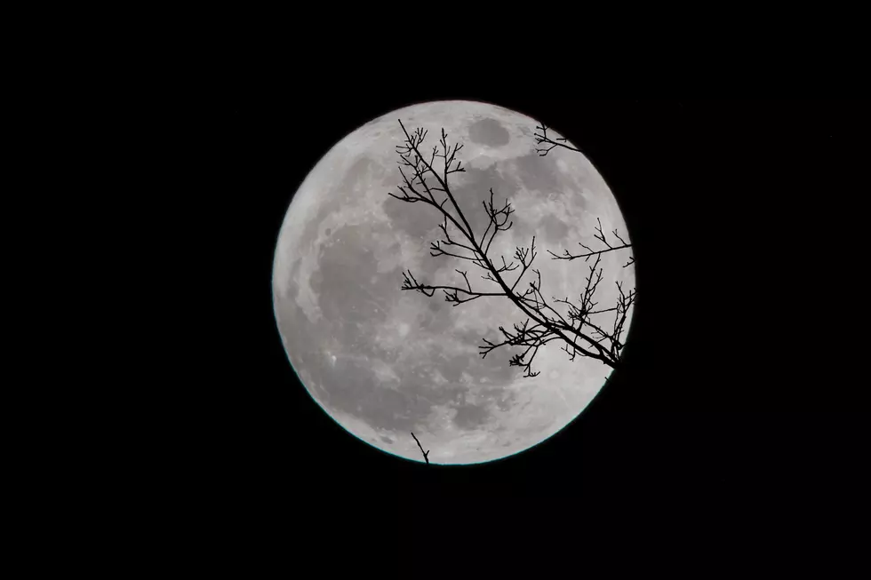 The First Full Moon of 2023 Is the Wolf Moon and it&#8217;s a Micromoon Here&#8217;s When to See It Over Indiana, Kentucky, and Illinois