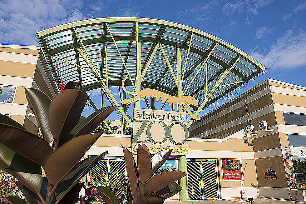 Mesker Park Zoo in Evansville Closes Temporarily Closes Amazonia