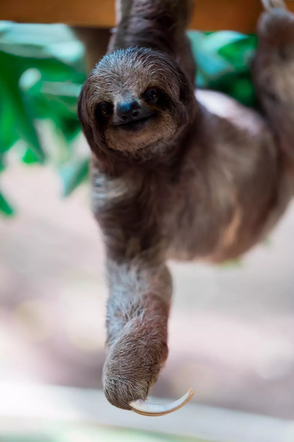 attachment-sophia-muller-qbsdrZZ0M4c-unsplash