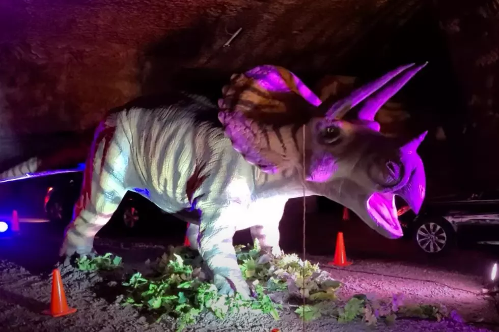 You Can See Life-Size Dinosaurs Hanging Out UNDER Louisville, Kentucky