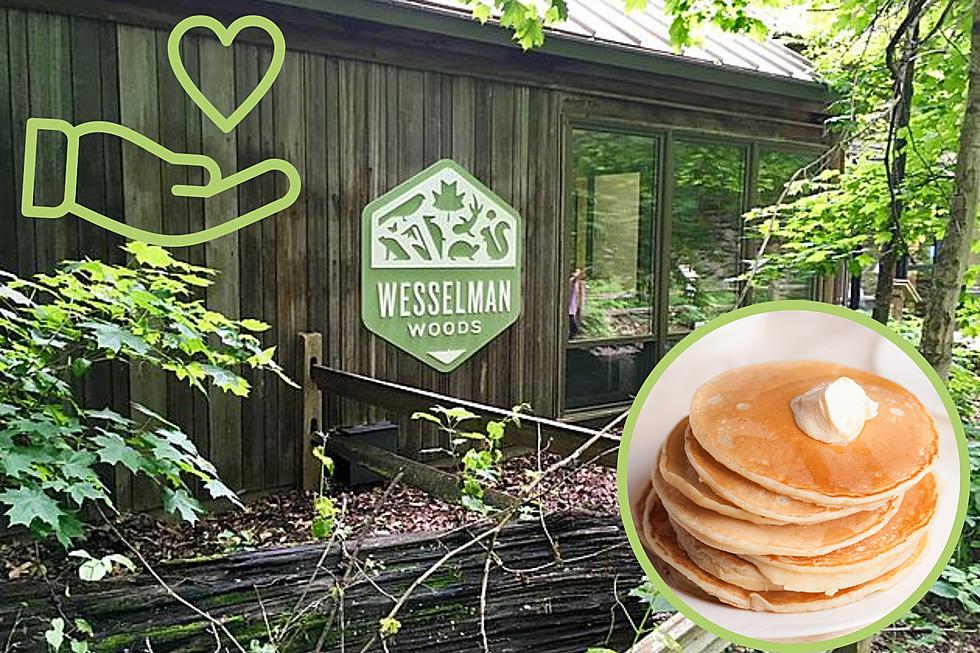 Evansville’s Wesselman Woods Needing Volunteers for Upcoming Maple Sugarbush Festival