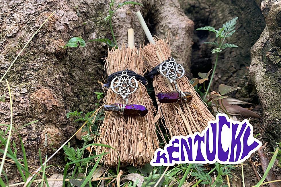 Make an Offering to the Witches' Tree in Louisville Kentucky