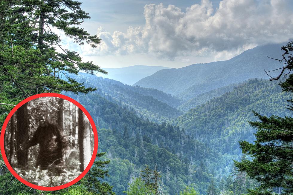 Tennessee’s Smoky Mountain Bigfoot Conference is Back in July 2023