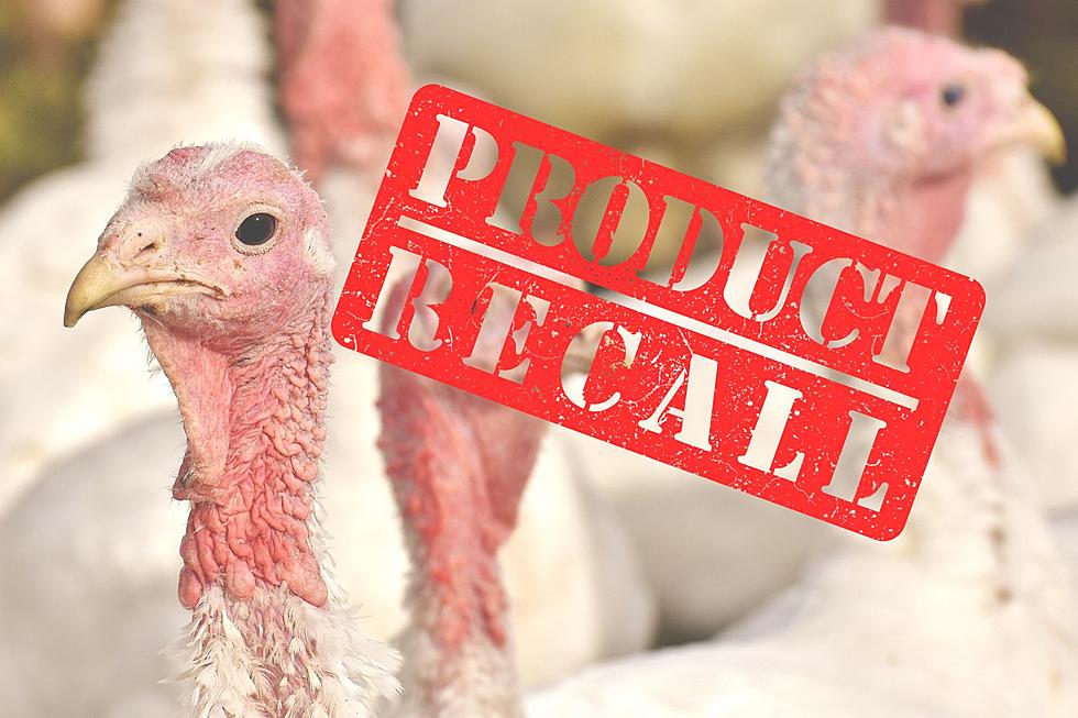 12,000 Pounds of Frozen Turkey Products Recalled Due to Misbranding &#8211; Is Your Freezer Safe?
