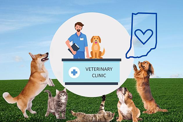 Low Cost Veterinary Clinic Coming to Southern Indiana April 15th