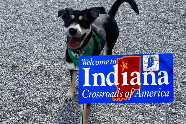 Indiana Billboard Leads to Heartwarming Reunion: Soldier and Beloved Dog to Be Together Again
