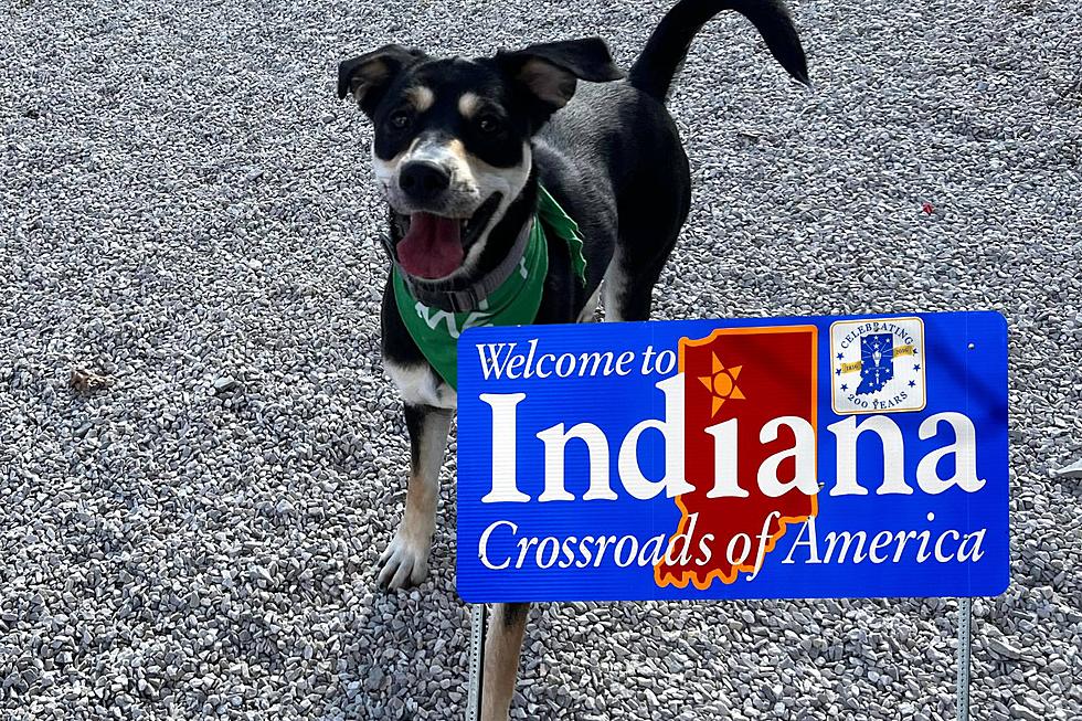 Indiana Billboard Leads to Heartwarming Reunion: Soldier and Beloved Dog to Be Together Again