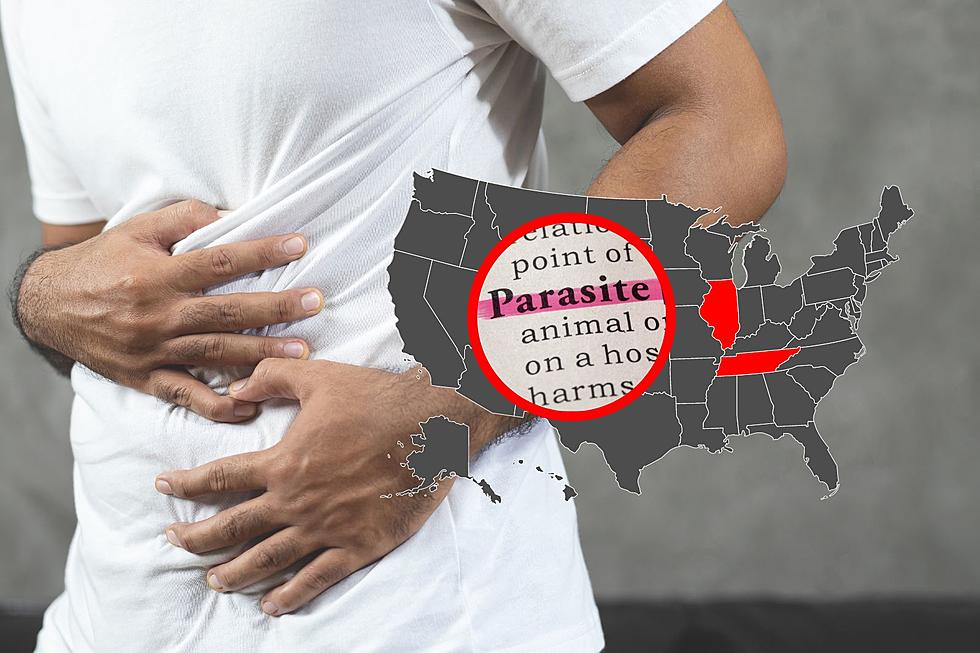 CDC Confirm Cases of Intestinal Parasite Outbreak in IL and TN
