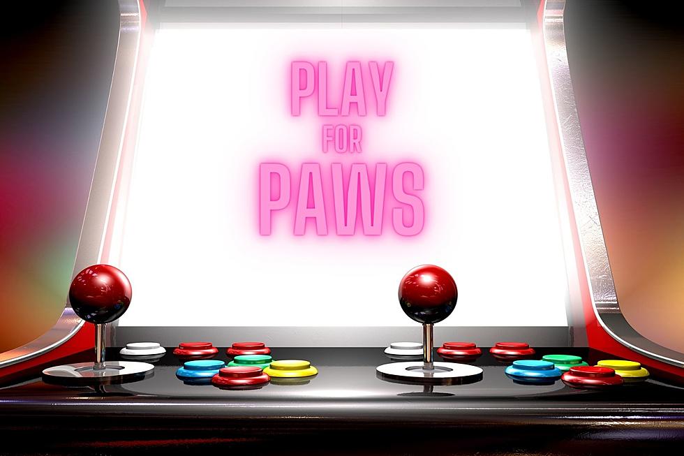 Play for Paws: Join the Fun and Save Animals at High Score Saloon