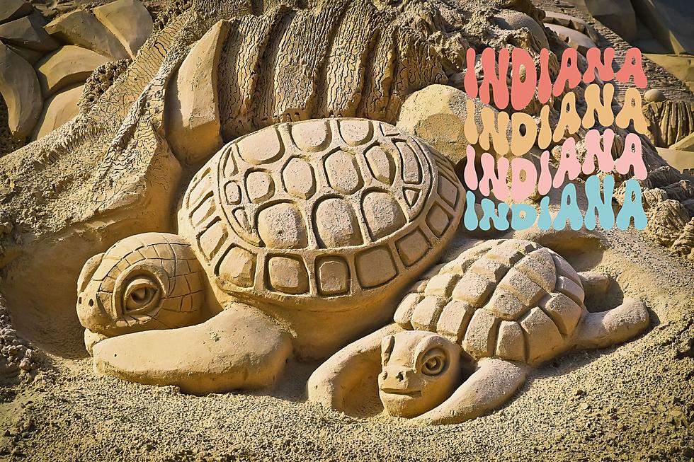 Sand Sculpting Contest: Get Artistic at Indiana Dunes