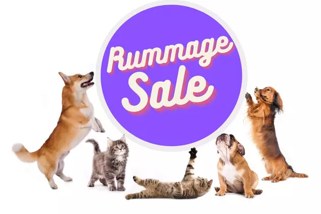 Join the NewLife Rescue &#038; Adoption Rummage Sale to Support Homeless Animals in Indiana