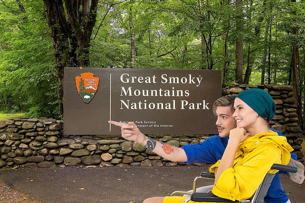 Accessible Adventures in Great Smoky Mountains National Park