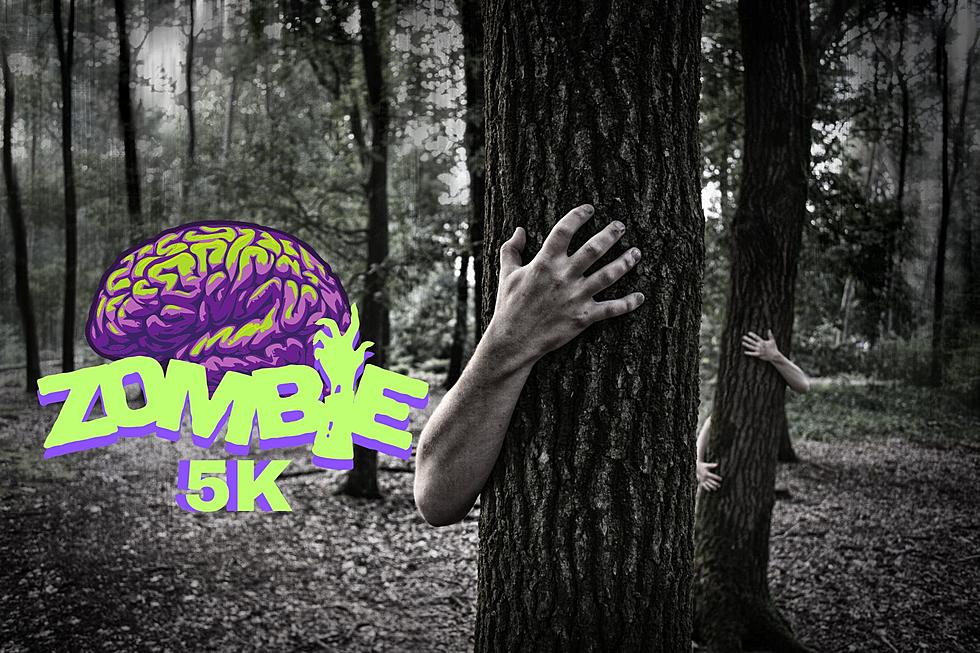 Join the Thrilling Zombie 5K Run & Walk: Outrun Brain-Hungry Zombies!