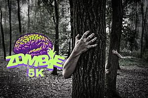 Join the Thrilling Zombie 5K Run & Walk: Outrun Brain-Hungry...