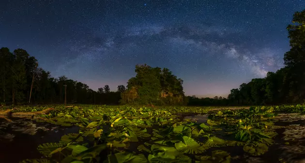 Explore the Vast and the Miniature in &#8216;Sense of Scale&#8217; Photography Exhibit at Illinois Art Space