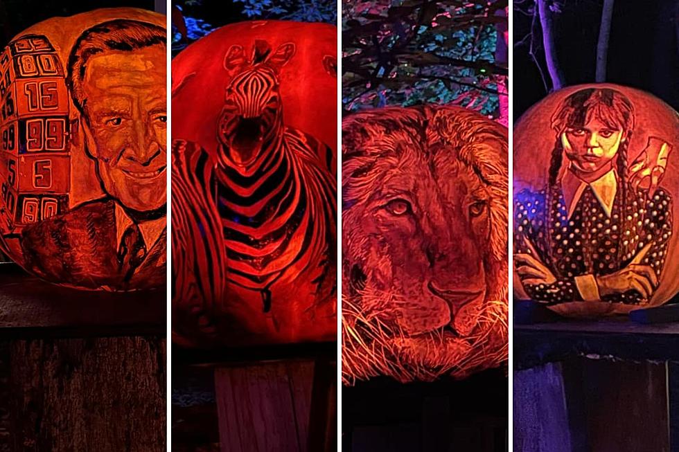 Take a Peek at the Kentucky’s 2023 Louisville Jack-O-Lantern Spectacular [PHOTOS]