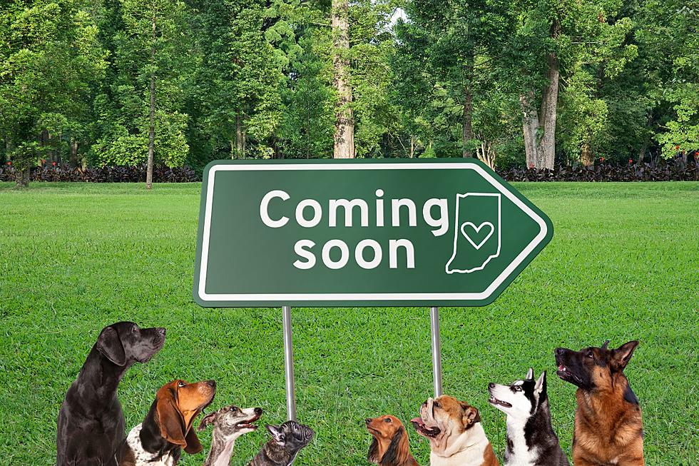 Fundraising Underway to Help Indiana Animal Rescue Build New $1.25 Million Facility