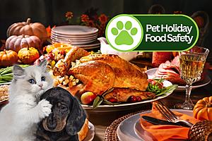 Hey Animal Lovers! Protect Your Pets With These Holiday Food...