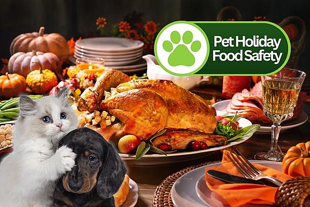 Hey Indiana Animal Lovers! Protect Your Pets With These Thanksgiving Food Safety Tips
